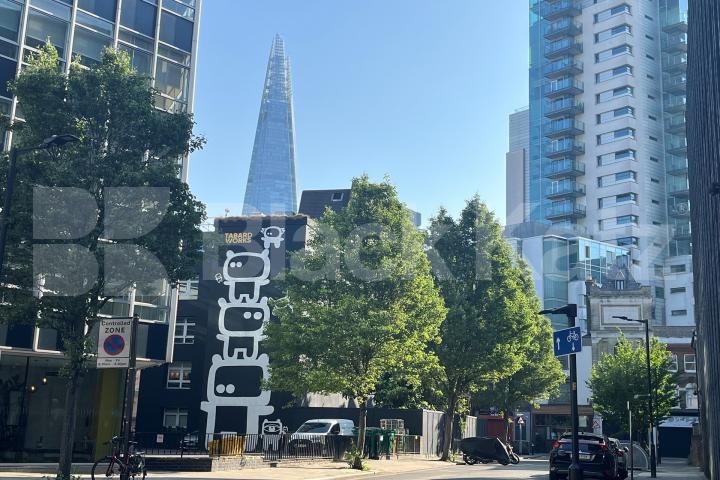 Superbly Located stylish apartment  Tabard Street, London Bridge